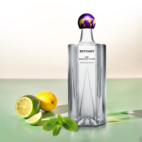 gin mixer drinks
