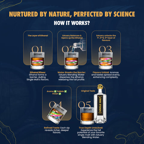 Infographic explaining the process of Scotch whisky with images of bottles and text on a dark background.
